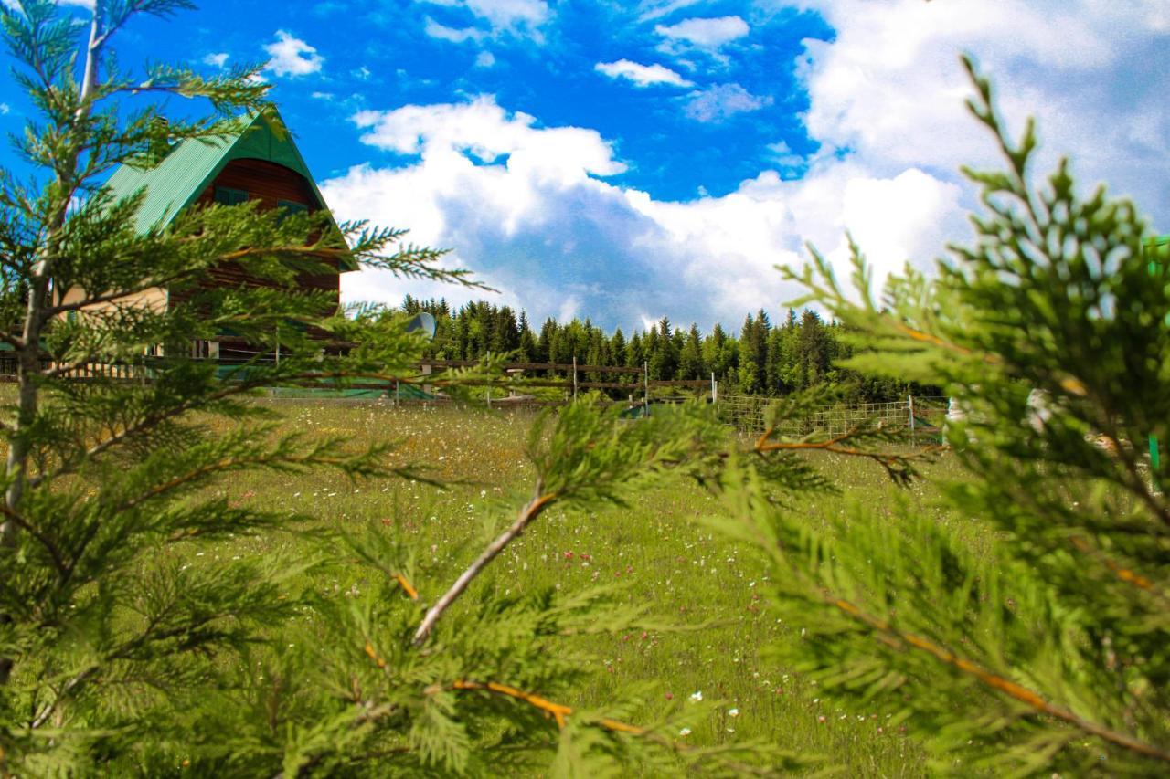 Villa Vikendica Anja Žabljak Exterior foto
