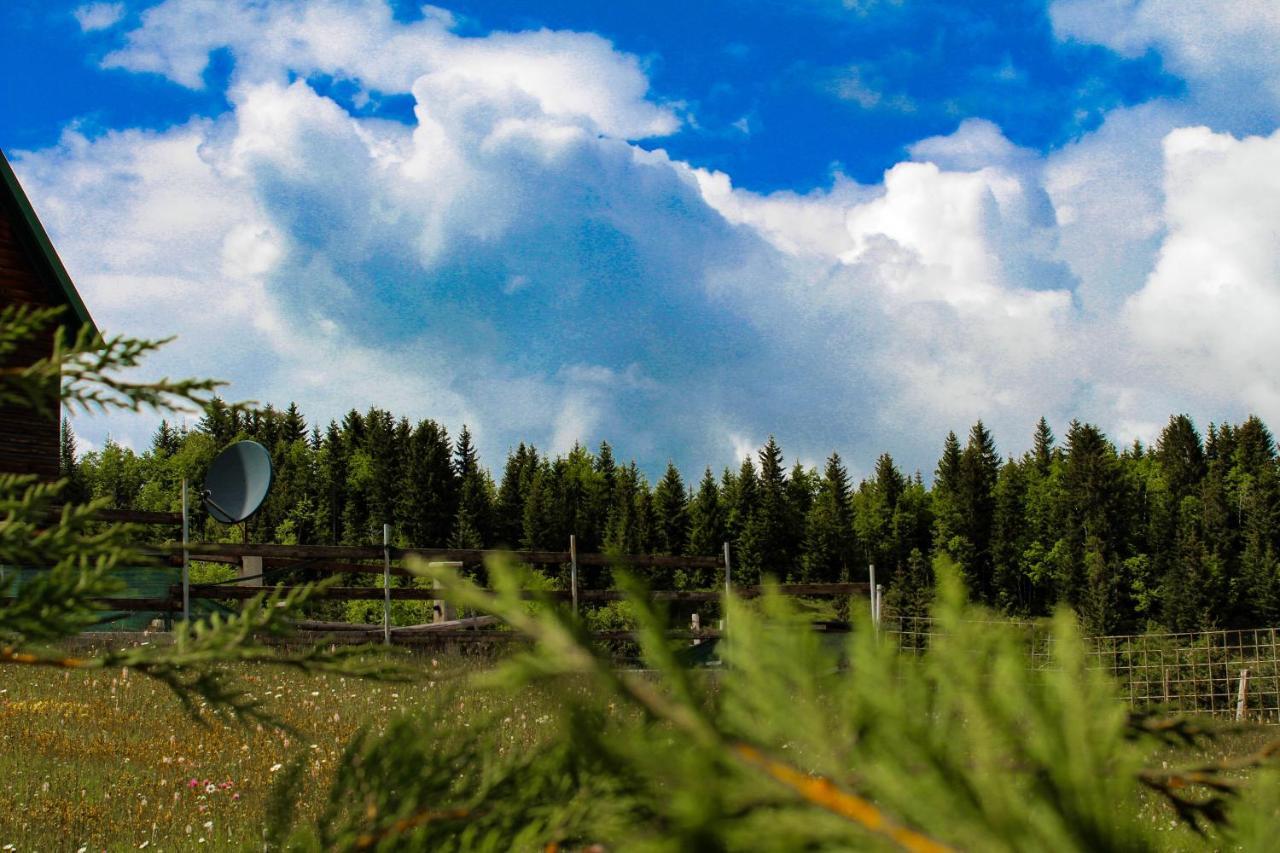 Villa Vikendica Anja Žabljak Exterior foto